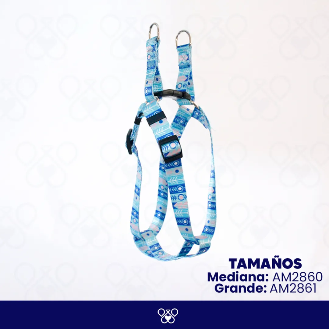 AM286-