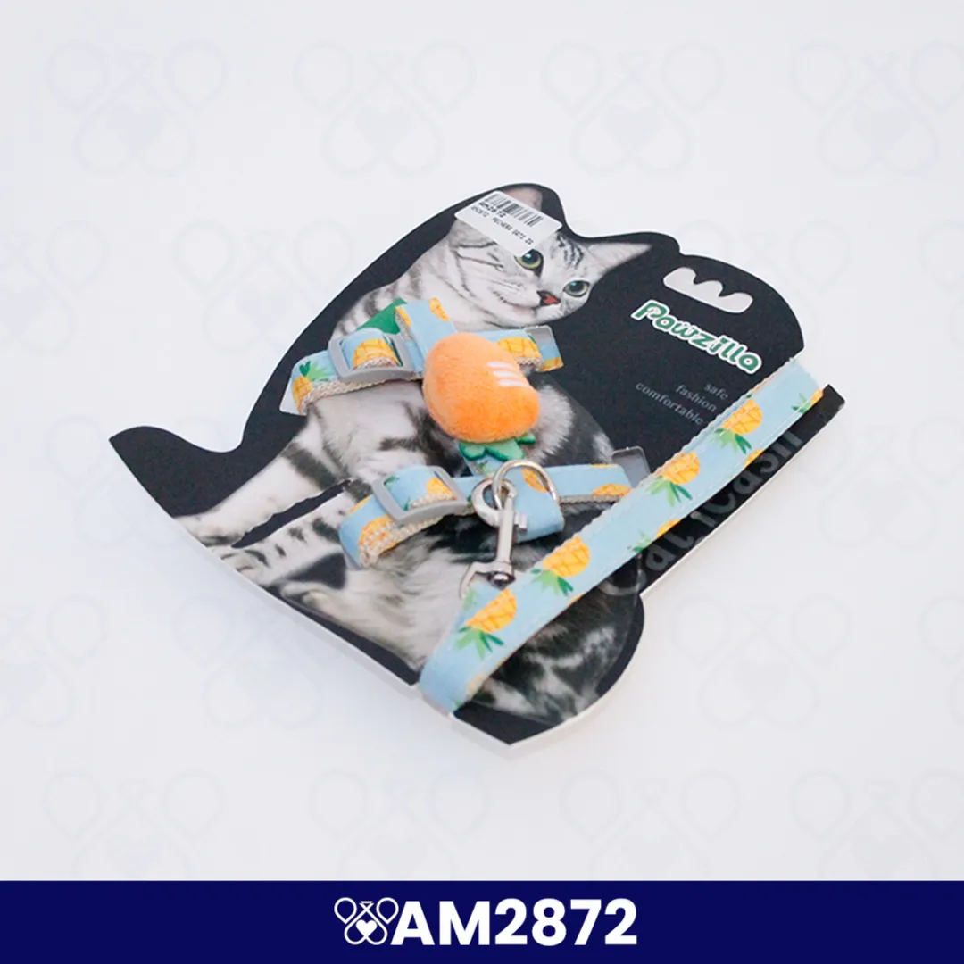 AM2872