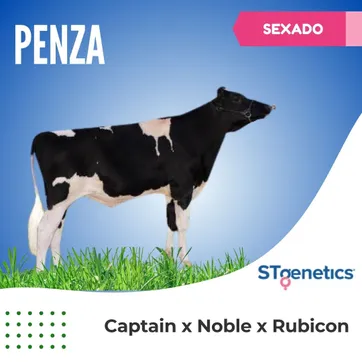PENZA SEXADO - imagen 1