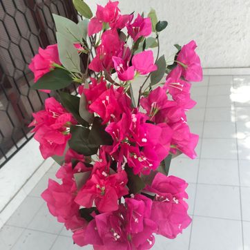 FLORES VERANERAS  - imagen 1