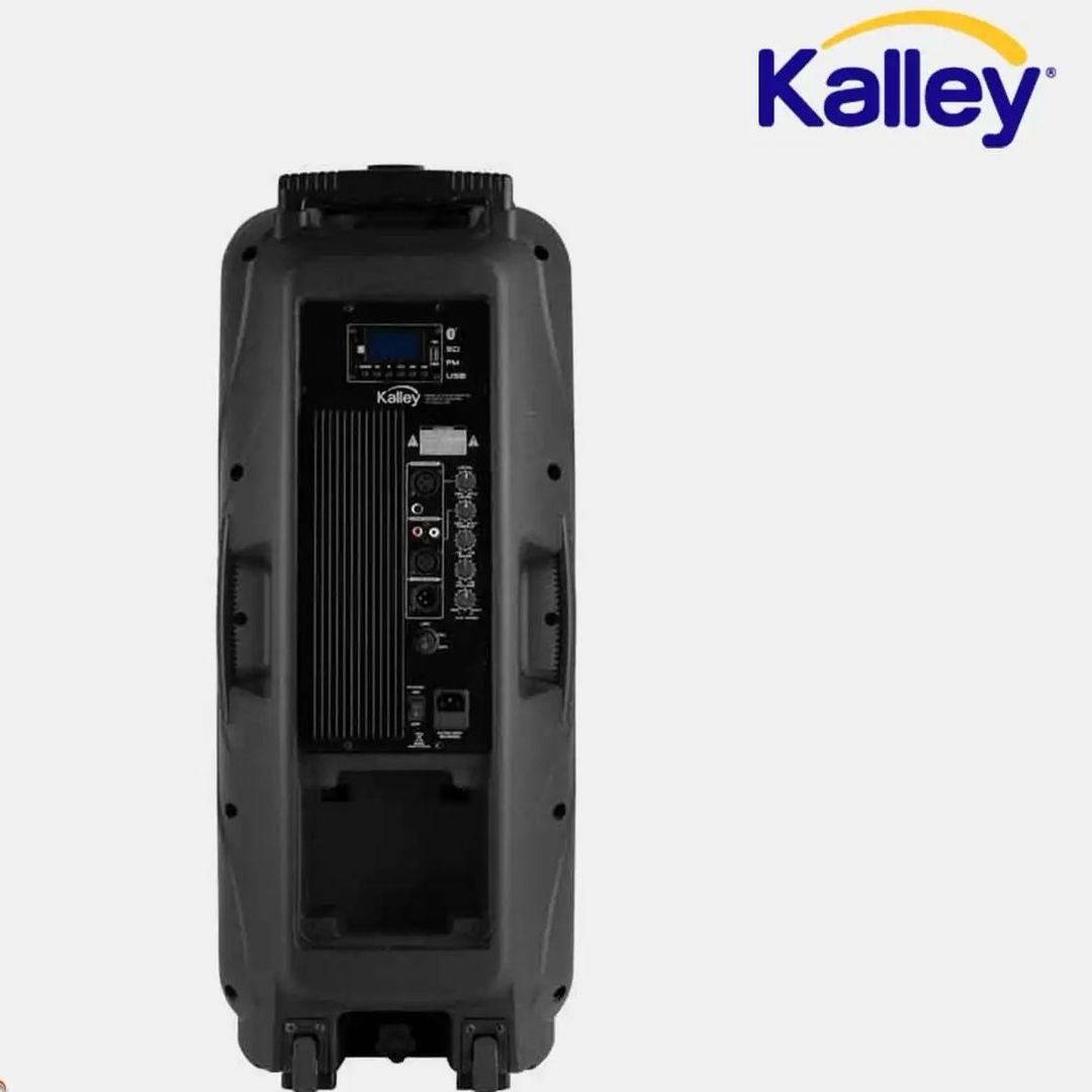 PARLANTE KALLEY 300W LED