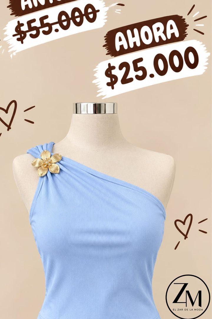 Blusa