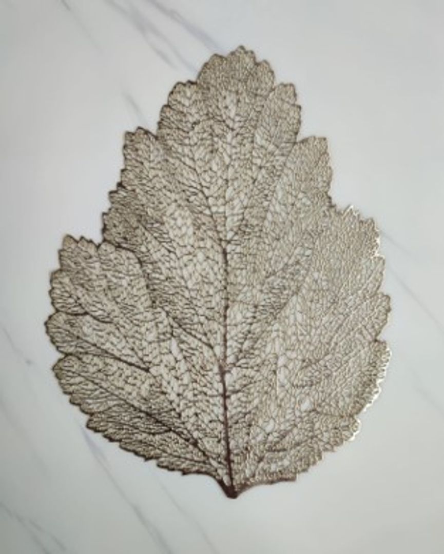 Individual de Mesa en plástico