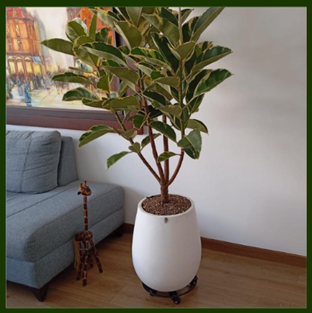 SOPORTE METALICO DE RODACHIN