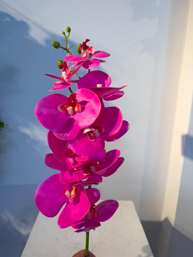 ORQUIDEA FUCSIA X 9 EN VARA