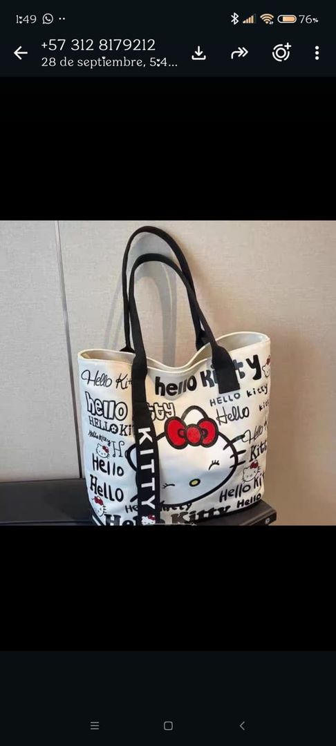 PLAYERO HELLO KITTY 