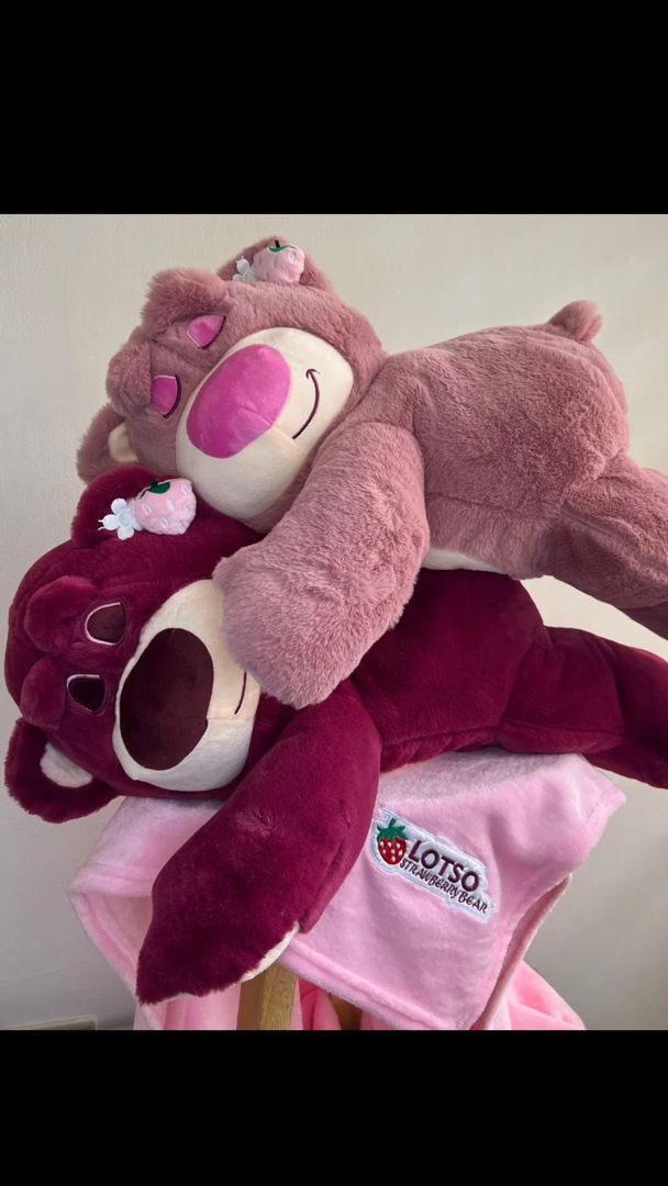 Lotso con cobija 