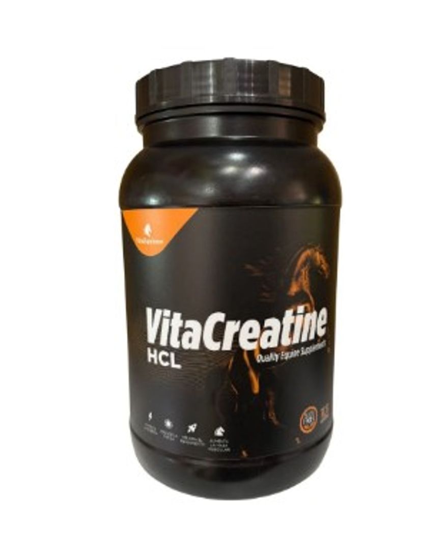 VITA CREATINE 5 LIBRAS 