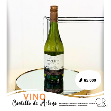 Imagen del producto Vino Castillo de Molina