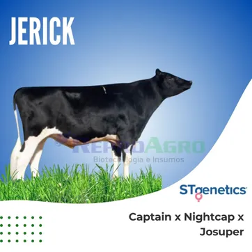JERICK - imagen 1