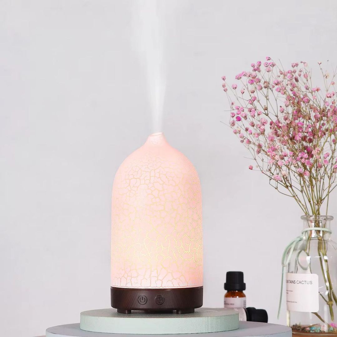 Humidificador 2205LW 