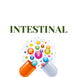 Imagen de la categoría INTESTINAL