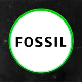 Imagen de la categoría FOSSIL