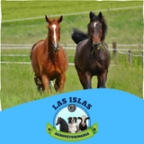 Imagen de la categoría CONCENTRADOS PARA EQUINOS