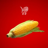 Imagen de la categoría GRANOS