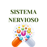 Imagen de la categoría SISTEMA NERVIOSO