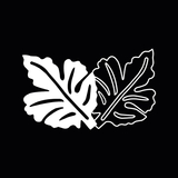 Imagen de la categoría Todo