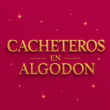 Imagen de la categoría CACHETEROS ALGODON