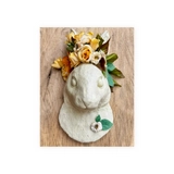 Imagen de la categoría Cuadros