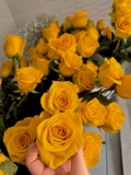 Imagen de la categoría Flores amarillas