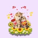 Imagen de la categoría GATOS