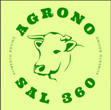 Imagen de la categoría Todo