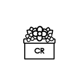 Imagen de la categoría CAJAS DELUXE