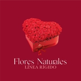 Imagen de la categoría DISEÑOS EN FORMA DE CORAZON