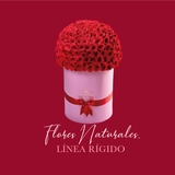 Imagen de la categoría CAJAS RIGIDAS