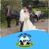 Imagen de la categoría ALQUILER DE CARRUAJES Y CABALLOS