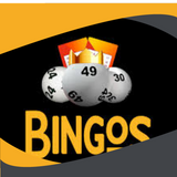 Imagen de la categoría BINGOS