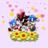 Imagen de la categoría FAMILIA SONIC 