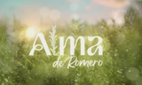 Imagen de la categoría ALMA DE ROMERO