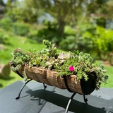 Imagen de la categoría JARDÍN