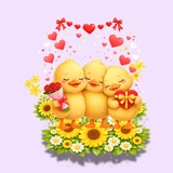 Imagen de la categoría PATOS Y POLLOS 