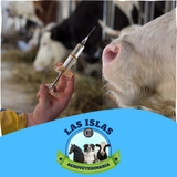 Imagen de la categoría MEDICAMENTOS GRANDES ANIMALES