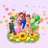 Imagen de la categoría SUPER MARIO BROSS