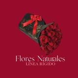 Imagen de la categoría BOUQUETS