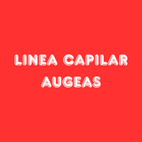 Imagen de la categoría Linea Capilar Augeas