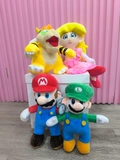 Imagen de la categoría SUPER MARIO