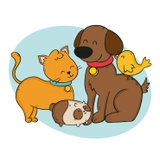 Imagen de la categoría Mascotas 