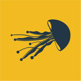 Imagen de la categoría Todo