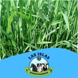 Imagen de la categoría SEMILLA DE PASTOS CLIMA CALIDO 