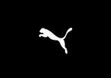 Imagen de la categoría Puma