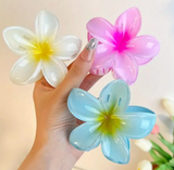 Imagen de la categoría PINZAS Y ACCESORIOS PARA EL CABELLO