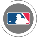 Imagen de la categoría MLB | Solo por pedido