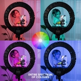 Imagen de la categoría iluminación RGB parled