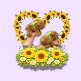 Imagen de la categoría MANILLAS