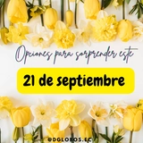 Imagen de la categoría Girasoles