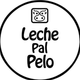 Imagen de la categoría LECHE PAL PELO